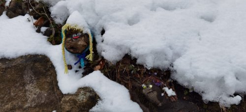 Bildquelle : Andrea Hartmann 