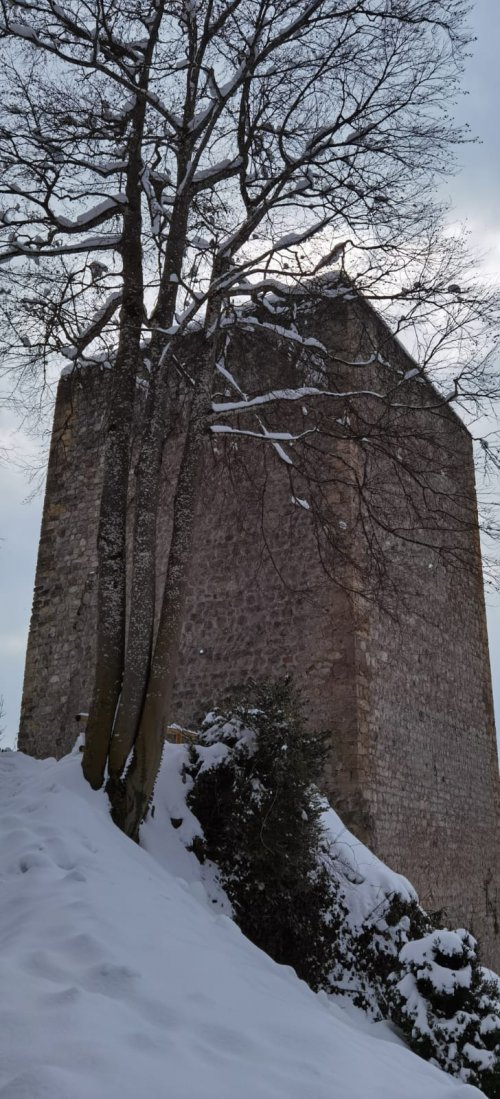 Bildquelle : Andrea Hartmann 