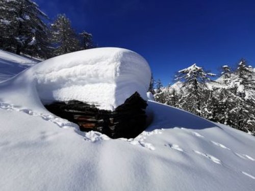 Der Winter 2020 / 2021 war  für unsere Osttiroler ein extremer Winter mit enormen Neuschneemengen , hier gibts nun Bilder querbeet durch Nordtirol , Osttirol und Südtirol !  
