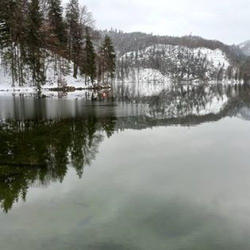 Der Winter 2020 / 2021 war  für unsere Osttiroler ein extremer Winter mit enormen Neuschneemengen , hier gibts nun Bilder querbeet durch Nordtirol , Osttirol und Südtirol !  