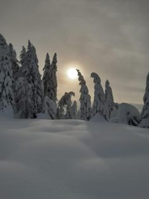 Der Winter 2020 / 2021 war  für unsere Osttiroler ein extremer Winter mit enormen Neuschneemengen , hier gibts nun Bilder querbeet durch Nordtirol , Osttirol und Südtirol !  
