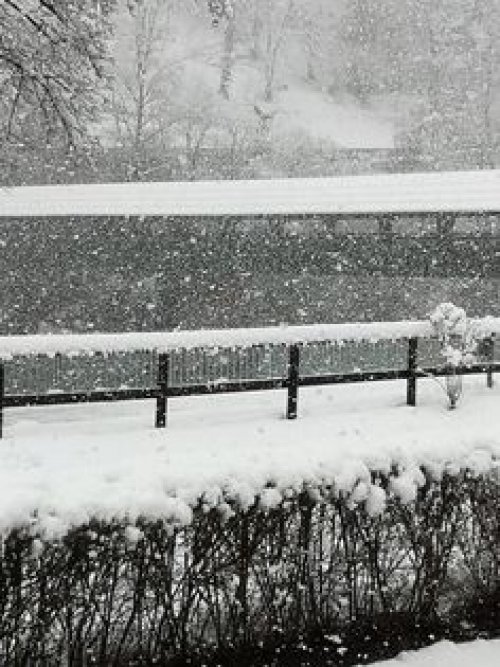 Der Winter 2020 / 2021 war  für unsere Osttiroler ein extremer Winter mit enormen Neuschneemengen , hier gibts nun Bilder querbeet durch Nordtirol , Osttirol und Südtirol !  