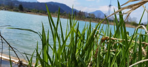 Frühling in Ebbs im Tiroler Unterland.