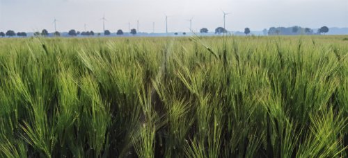 Tornado Paderborn /Deutschland 2022