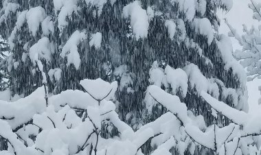 Nordströmung brachte viel Schnee