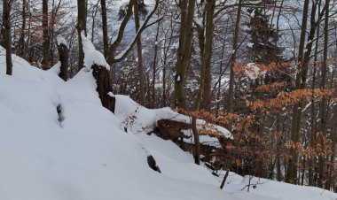 Winter Ruine Thierberg