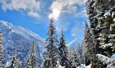 Donnerstag Wetteraussichten