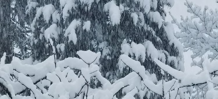 Nordströmung brachte viel Schnee