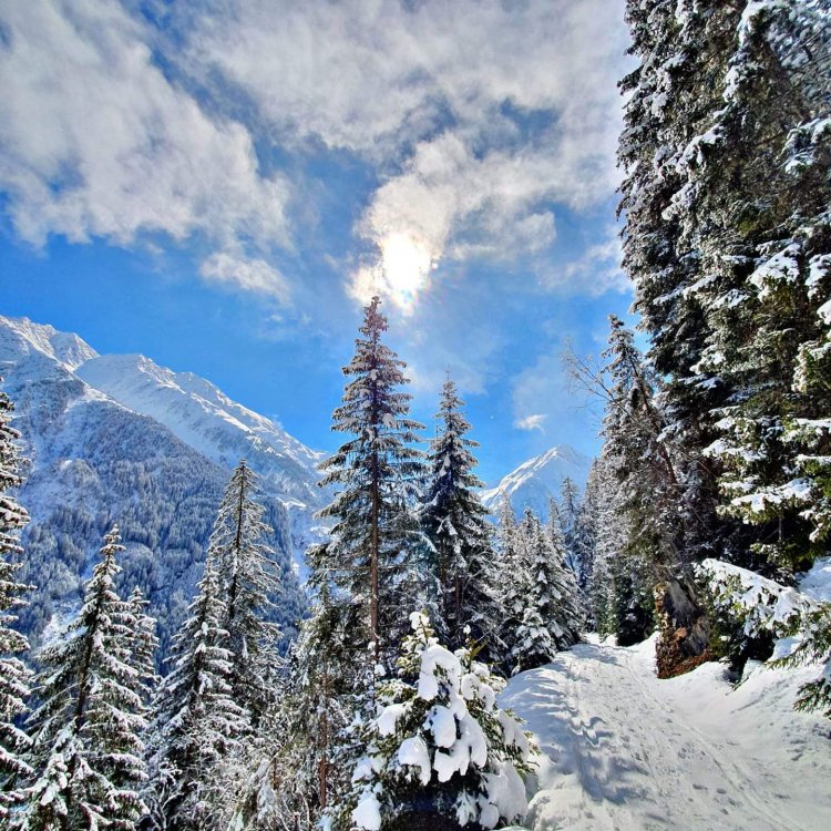 Donnerstag Wetteraussichten