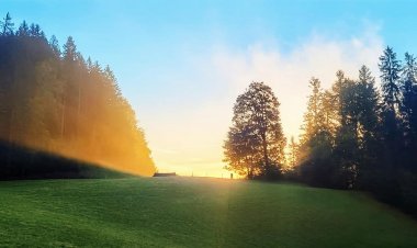 Bodenfrostgefahr in vielen Regionen Tirols