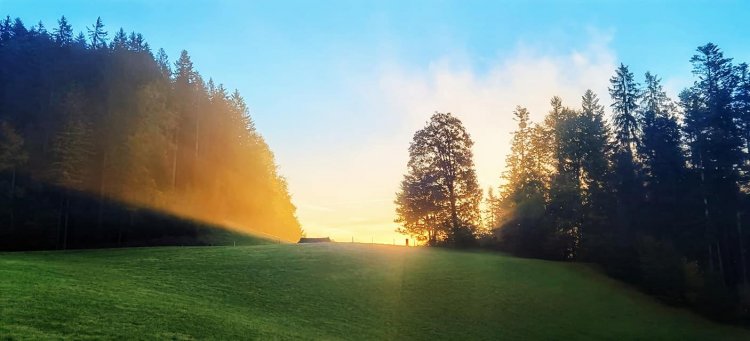 Bodenfrostgefahr in vielen Regionen Tirols